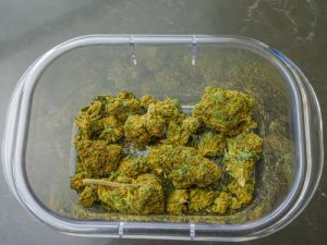 Czy marihuana uzależnia?
