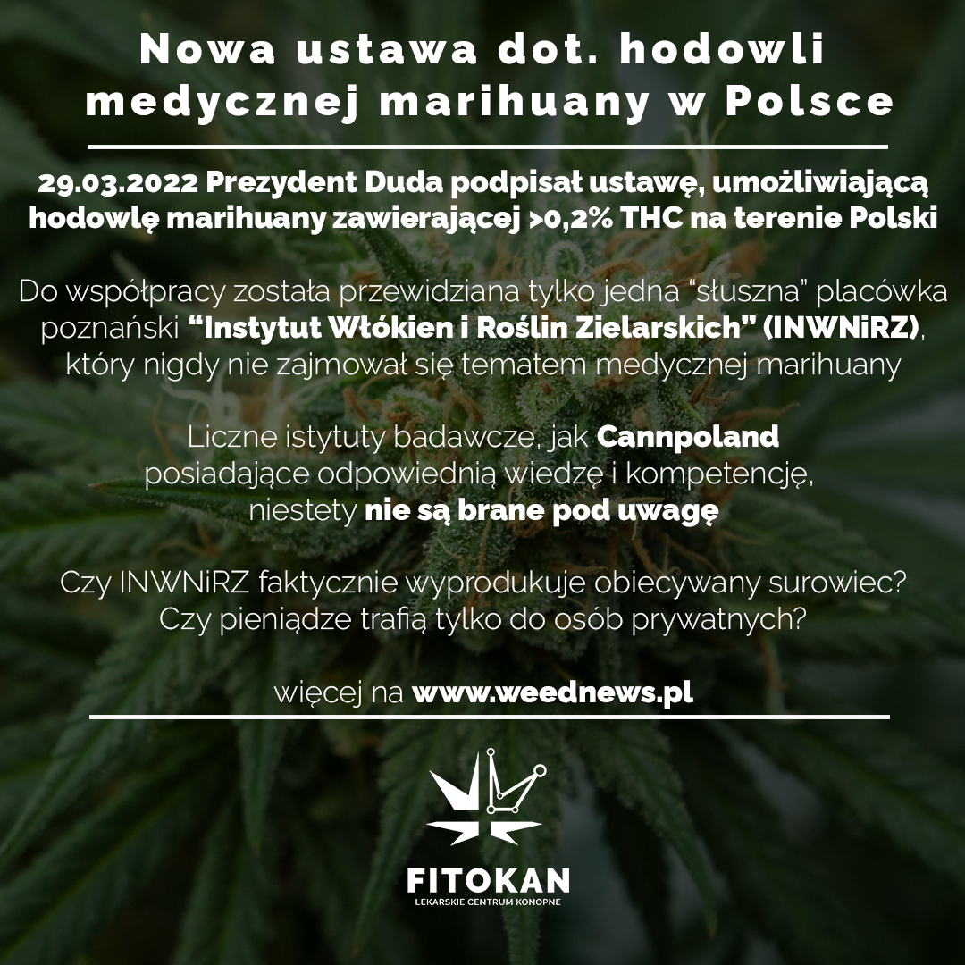Nowa ustawa dot. hodowli medycznej marihuany w Polsce