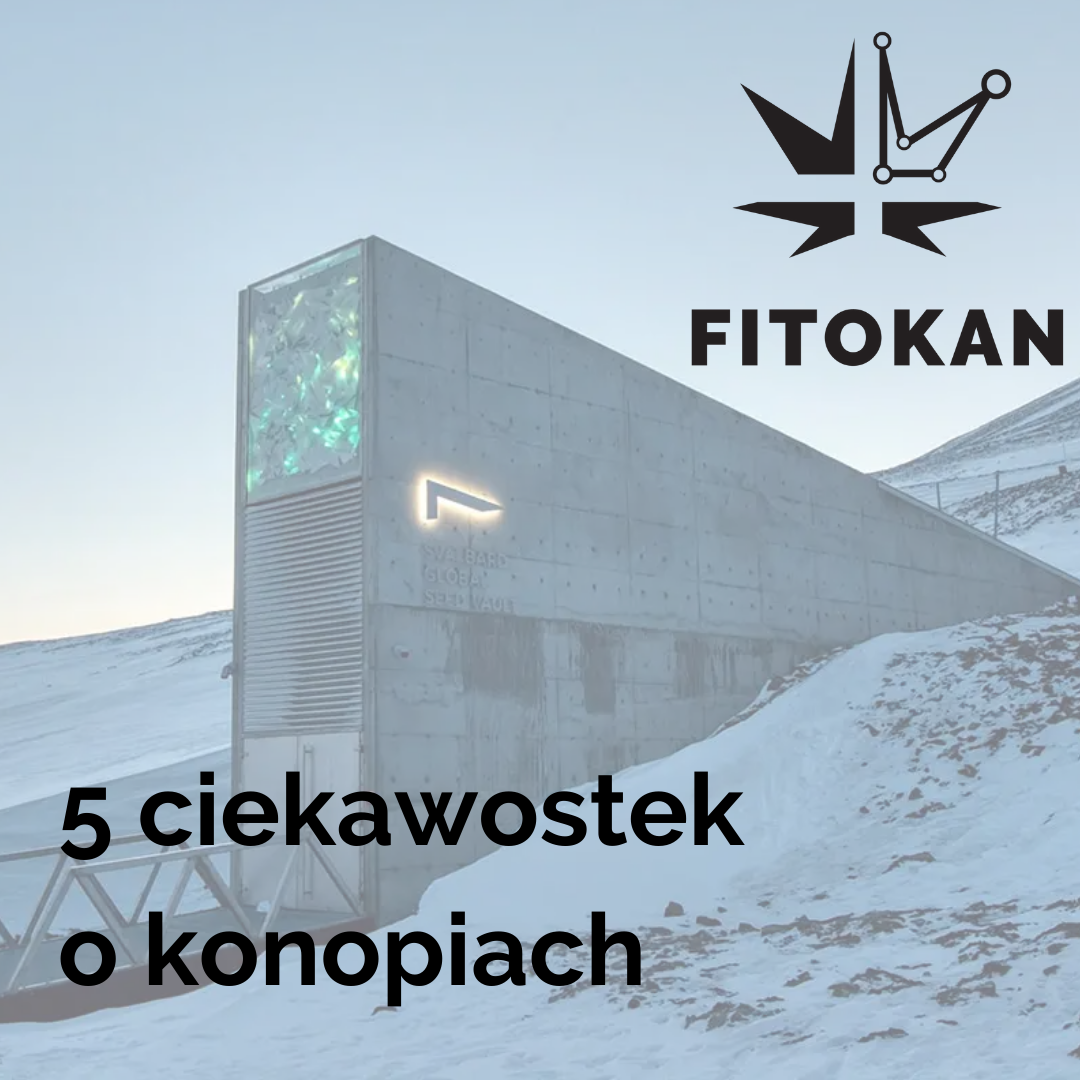 5 ciekawostek o konopiach